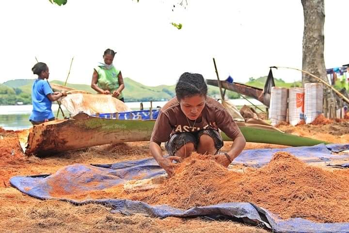 Seorang ibu memindahkan sari hasil parutan sagu untuk diremas. - Jubi/Engel Wally